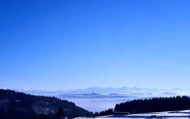 冬季 森林公园 雪场 蓝色 天际线 5K桌面壁纸5120×3200