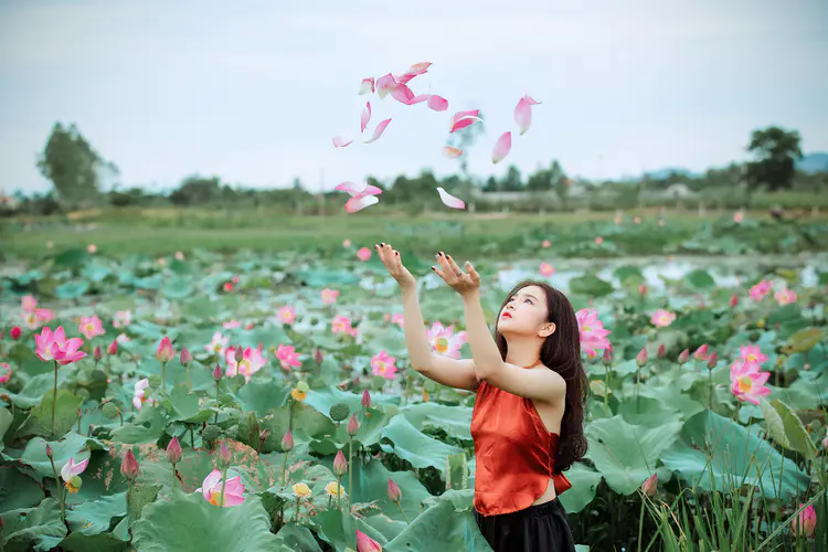 荷花 荷塘 女人扔粉色花瓣5k摄影图片