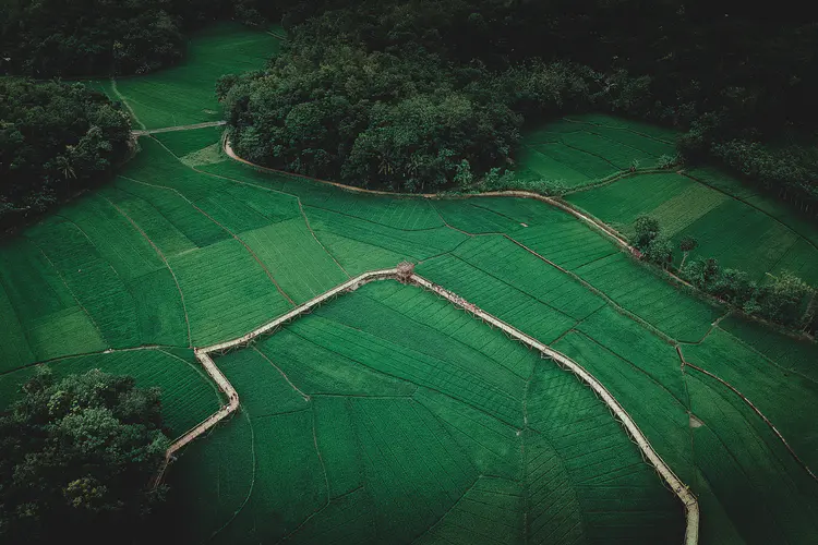 鸟瞰绿色田野与森林的风景 4K壁纸，自然美景欣赏