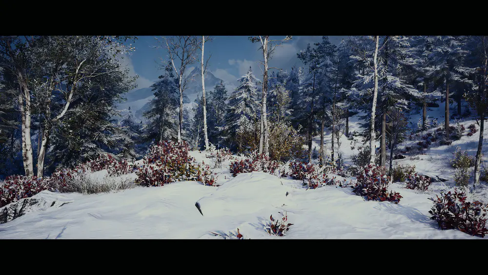 刺客信条 冬天 绘画 风景 PC游戏 视频游戏 雪 天空 树木 CGI 8K壁纸