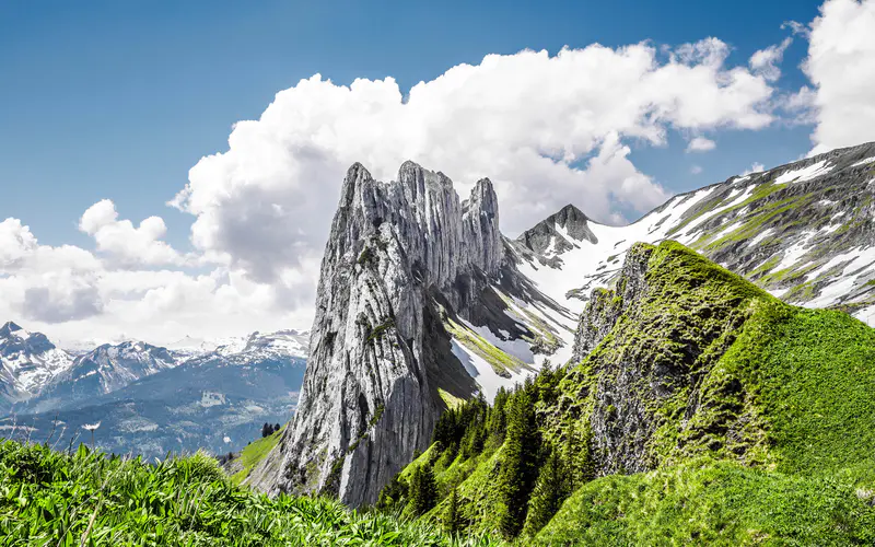 夏季 草 岩石 雪山 瑞士 5K桌面壁纸5120×3200