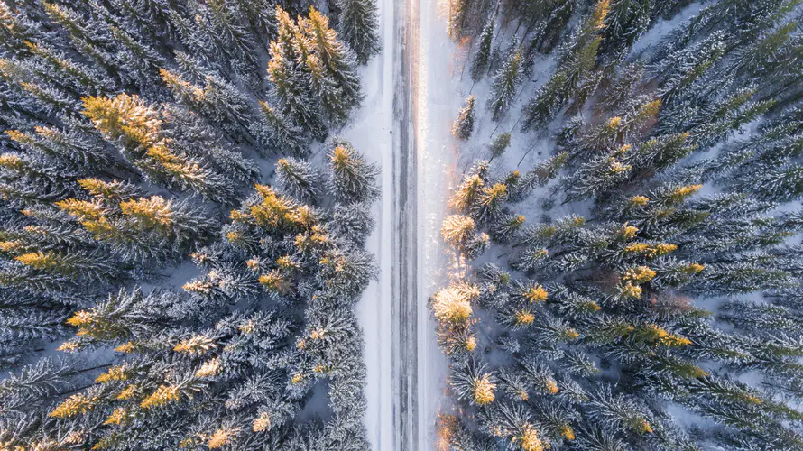 俯视森林雪景4k风景壁纸