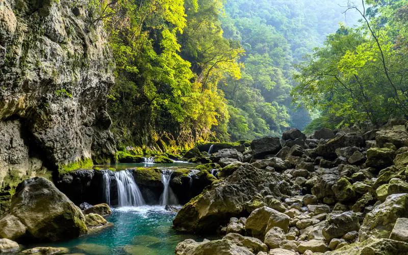 夏季 热带 雨林 河流 山谷 岩石 5K桌面壁纸5120×3200